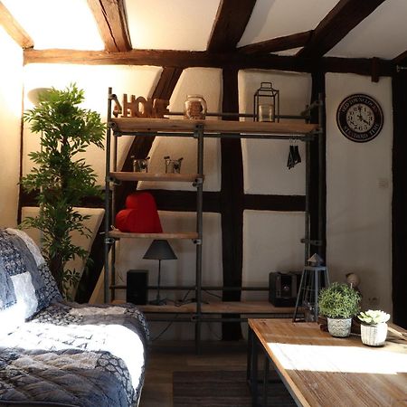 Sous Les Toits Du Zinc - Climatise Apartment Колмар Екстериор снимка