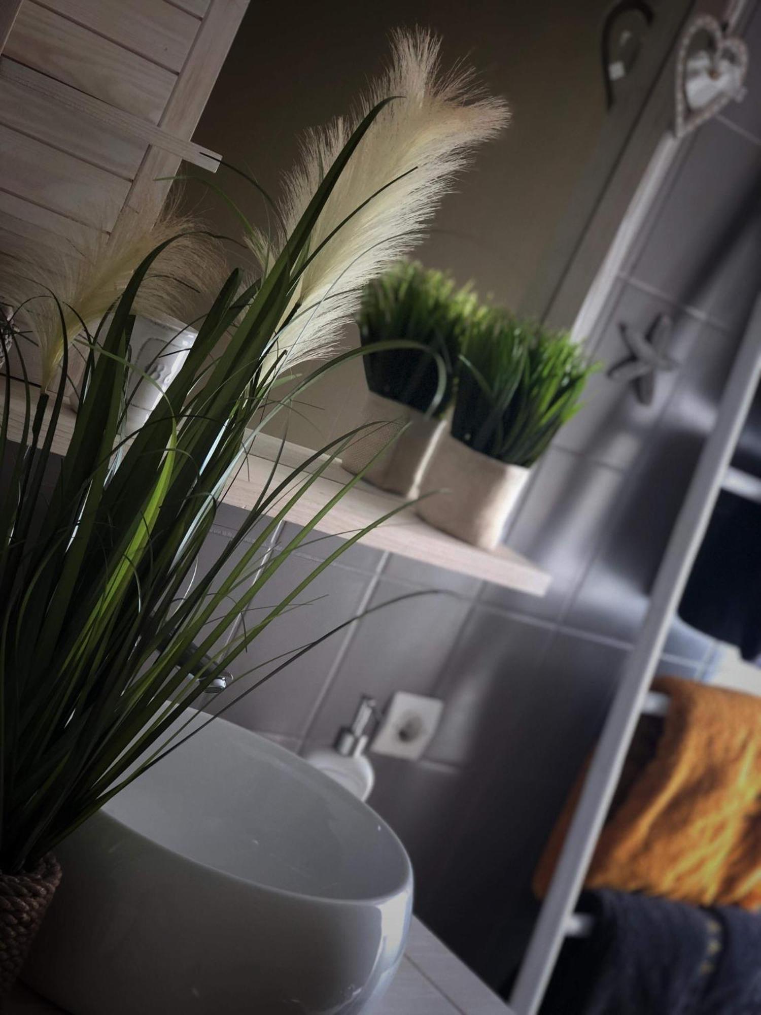 Sous Les Toits Du Zinc - Climatise Apartment Колмар Екстериор снимка