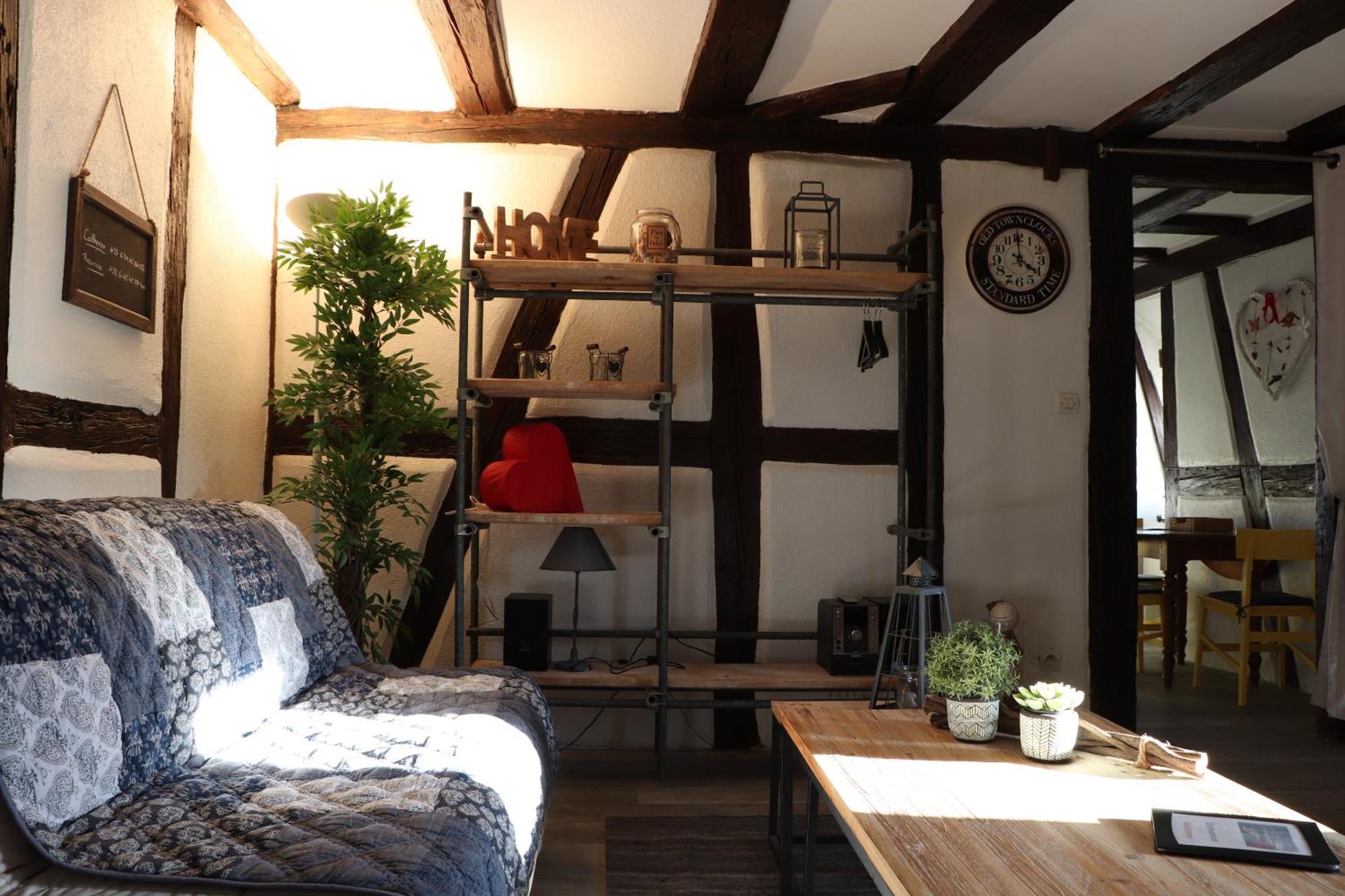 Sous Les Toits Du Zinc - Climatise Apartment Колмар Екстериор снимка